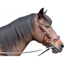 Aram Rose Hackamore Bitless Bridle